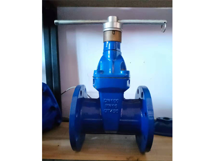 廠家批發(fā)加密軟密封閘閥